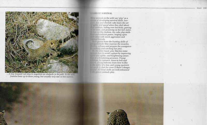 Southern Africa Spectacular world of Wildlife (F) - Readers Digest coffee table book
