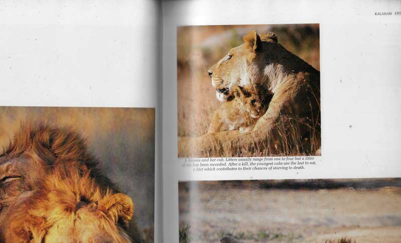 Southern Africa Spectacular world of Wildlife (F) - Readers Digest coffee table book