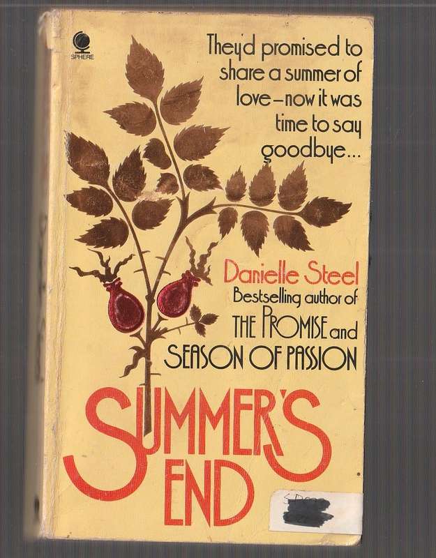 Summers End - Danielle Steel - Deanne met Ben - Then the summer of passion ends