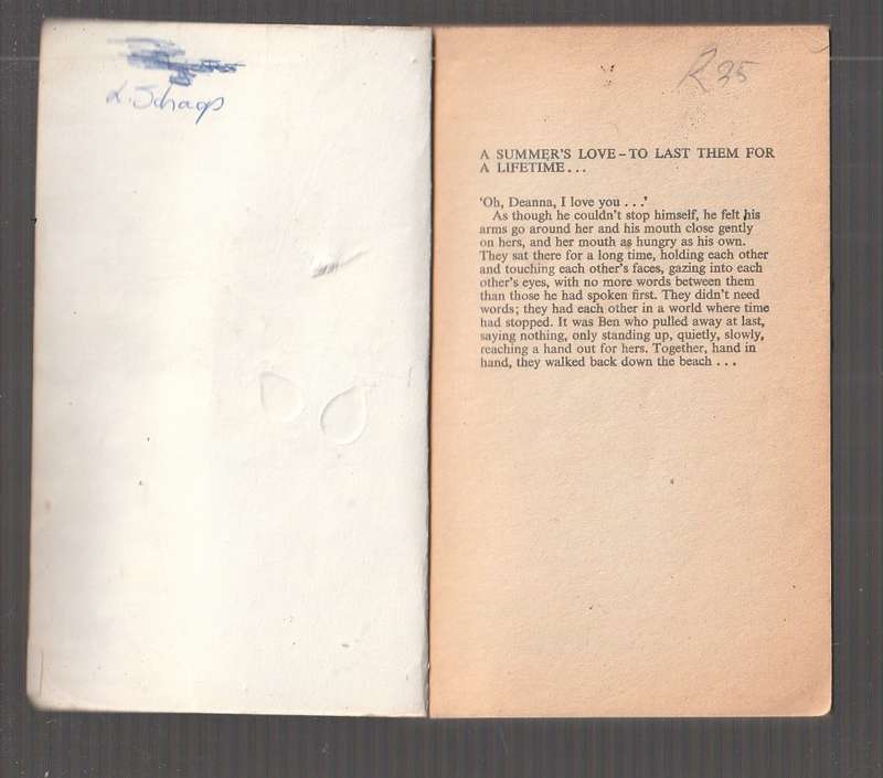 Summers End - Danielle Steel - Deanne met Ben - Then the summer of passion ends