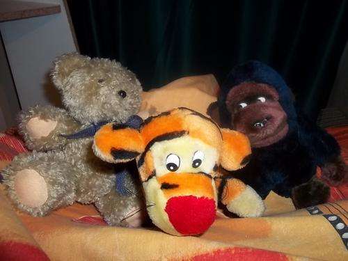soft toys to cudle