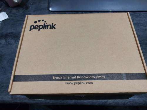 Peplink Balance20 dual-WAN load-balancing router