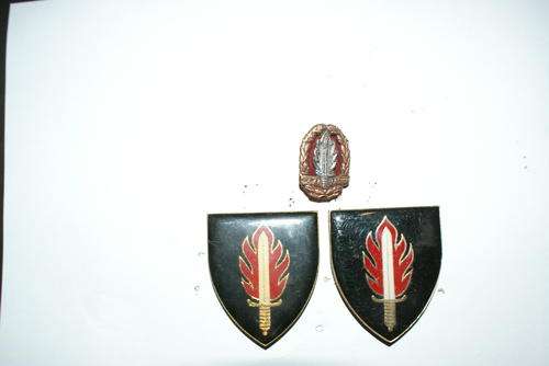 Intelligence School