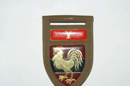 12 Field Engineering Regiment