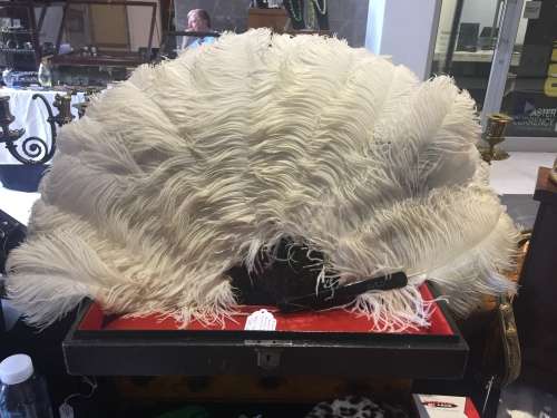 FANTASTIC ANTIQUE BOXED OSTRICH FEATHER FAN