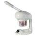 Mini Hot Facial Steamer