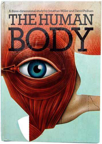 THE HUMAN BODY - A three-dimensional study. (POP-UP Book) -- Miller, J. & Pelham, D.