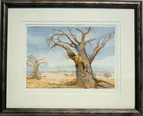 Erika Chapman. S A artist. "Quiver Trees"  Original watercolour.  Framed.