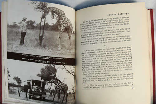 TOEVLUGSOORD -- C.S. Stokes