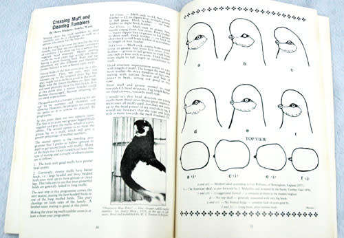 An English Muffed Tumbler Handbook -- Bob Witte and Charles Marais (Signed)