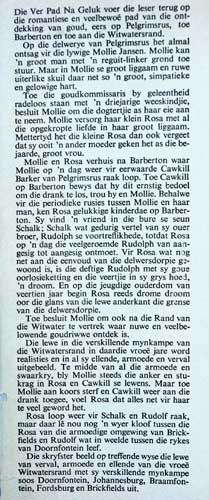 DIE VER PAD NA GELUK -- Annelize Morgan