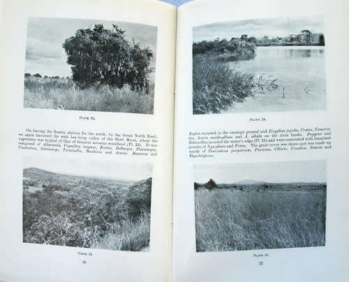 Roadside Observations on the Vegetation of East and Central Africa -- Dr I.B. Pole Evans