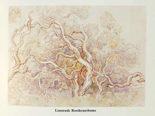 Gregoire Boonzaier Boomstudies -- D. M. Joubert & M. G. Shoonraad