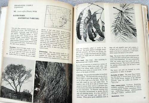 Sixty-Six Transvaal Trees -- B. de Winter, Mayda de Winter, D.J.B. Killick