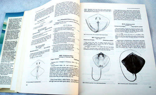Smiths` Sea Fishes -- Smith, Margaret M. Smith and Phillip C. Heemstra