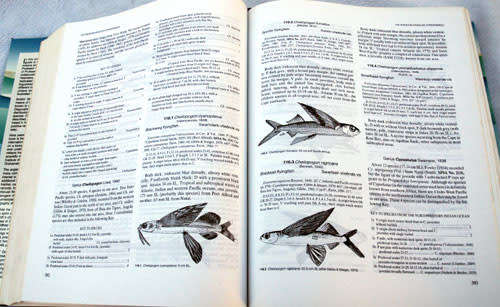 Smiths` Sea Fishes -- Smith, Margaret M. Smith and Phillip C. Heemstra