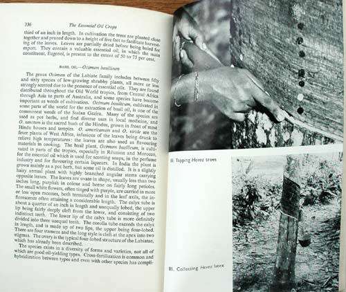 AN INTRODUCTION TO THE BOTANY OF TROPICAL CROPS -- Leslie Cobley