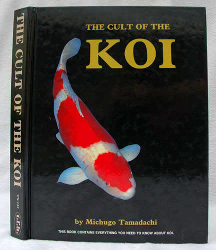 The Cult of the Koi -- Michugo Tamadachi