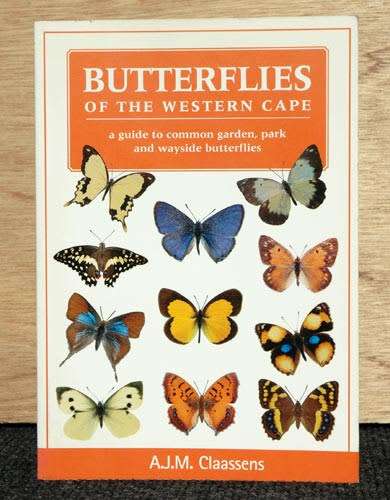 Butterflies of the Western Cape - AJM Claassens