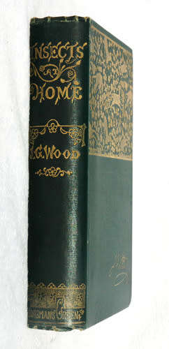 Insects at Home -- JG Wood (1892)