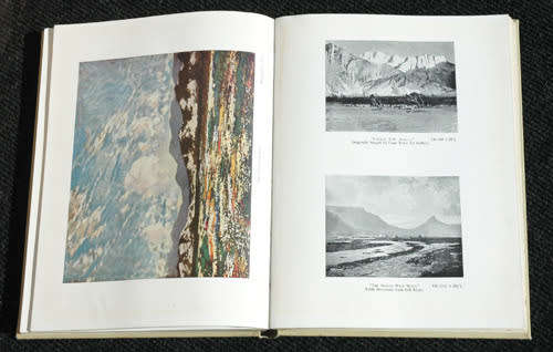 Gwelo Goodman : South African Artist -- Joyce Newton Thompson