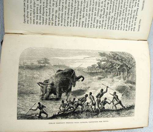 Livingstone's Missionary Travels in South Africa -- David  Livingstone 1857