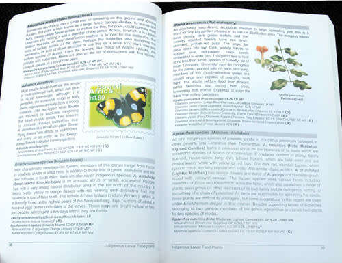 Bring Butterflies Back to Your Garden -- Charles and Julia Botha