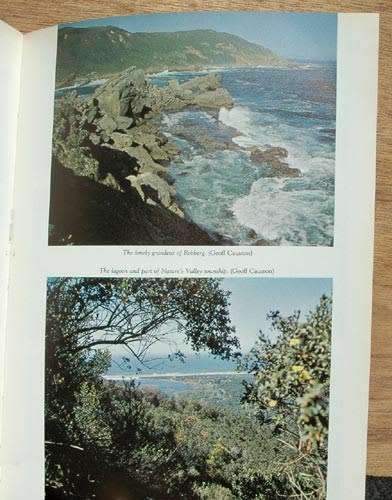 Portrait of Plettenberg Bay -- Patricia Storrar (signed)