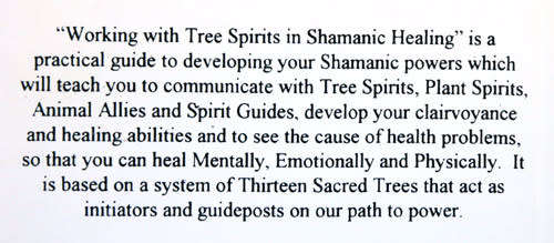 SHAMANIC HEALING : Working with Tree Spirits --  Peter Aziz