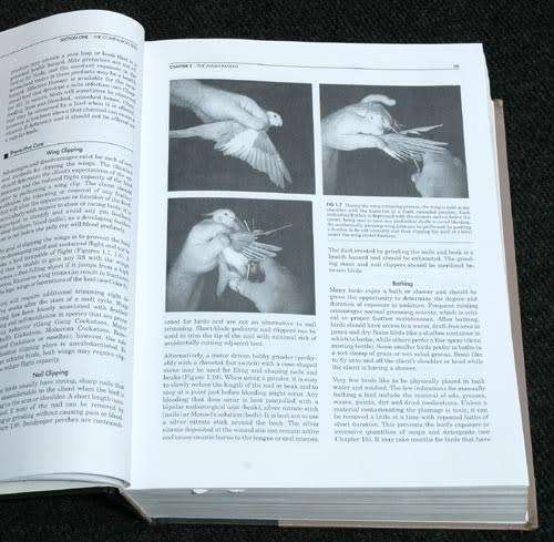 Avian Medicine : Principles and Applications -- Ritchie, Harrison and Harrison