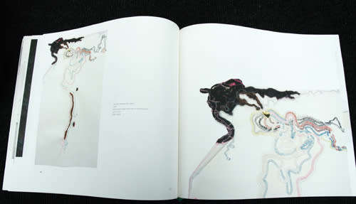 Standard Bank Young Artist Award 2009 -- Nicholas Hlobo