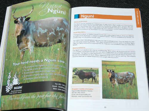 South African Breeds -- Lynette Louw