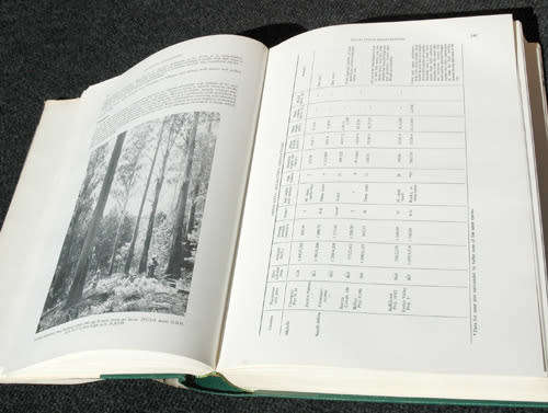 Tree Planting in South Africa Vol 1 & 2 -- R.J. Poynton