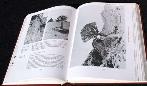 Trees of Southern Africa Vol- 1,2 & 3 -- Eve Palmer (signed 1st editions)