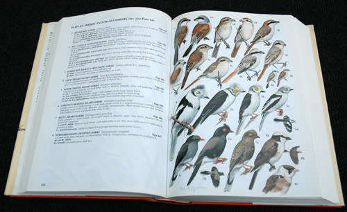 Birds of Kenya and Northern Tanzania - Dale Zimmerman, Donald Turner, David Pearson
