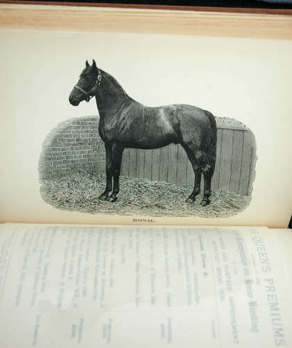 The Hunters` Improvement Society vol. iv. - Record of prize mares 1892