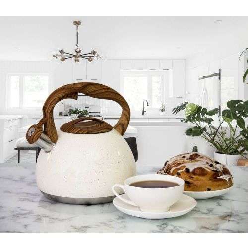 Klaus Berg Marble Pot Stainless Steel Whistling Kettle 2.7Litre