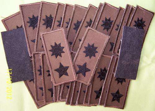 F5704 - **CLEARANCE** LOT OF 15 PAIRS - SANDF Army Lieutenant Colonel Collar Rank Badges - ORIGINAL