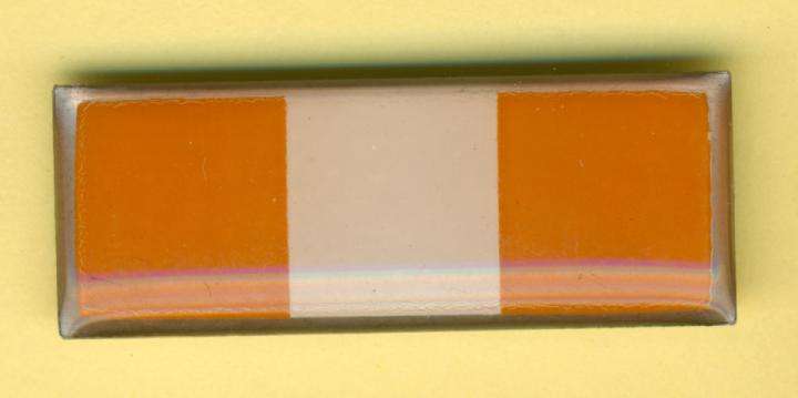 (X1091) BERET BAR - SA Army Personnel Corps - ORIGINAL!!