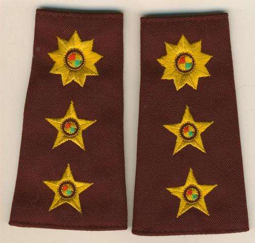 (4350) SHOULDER RANK PAIR - SANDF Medical Services - Colonel - Field Dress - Obsolete - ORIGINAL!!