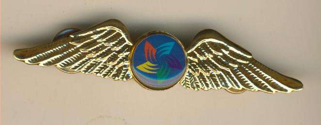 (0441) AVIATION - SA Starlight Aviation (Durban) Pilot Wing - ORIGINAL!!