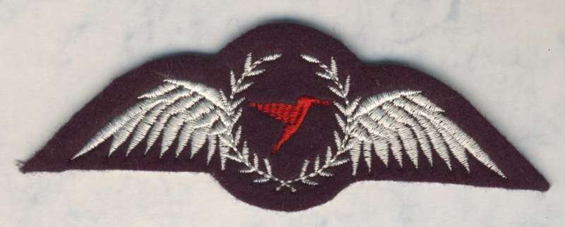 (0456) AVIATION - SA CHC Helicopters Pilot Wing - Obsolete - ORIGINAL!!