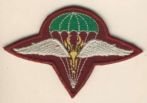 (0596) BERET BADGE - SA 1 Para Bn. 2nd Type Officer's - REPRODUCTION!!!