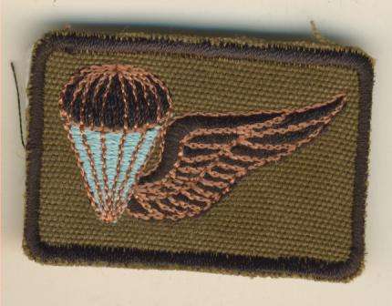 (0607) PROFICIENY BADGE - SWA Air Supply Wing - REPRODUCTION!!!