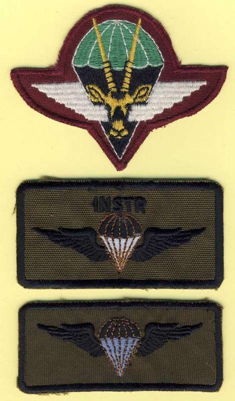 F0841 - BERET BADGE & 2 x PARA WINGS - S.W.A. Army - Obsolete - ORIGINAL!!