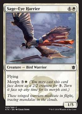 Magic The Gathering - Sage-Eye Harrier