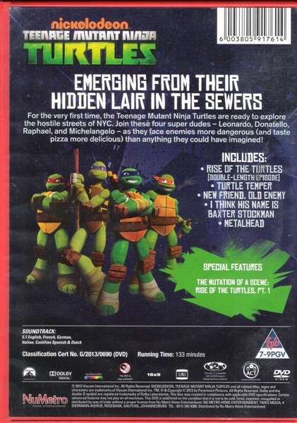 Teenage Mutant Ninja Turtles - Rise of the Turtles [DVD]