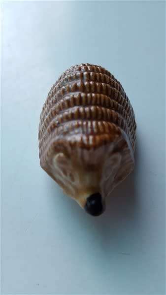 Wade Hedgehog