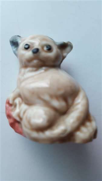 Wade Bush Baby