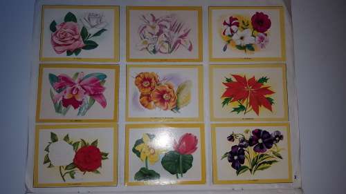 1972 Naturama Album (380 cards) [Complete!!!]